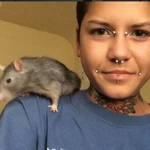 Meet your Posher, Susan